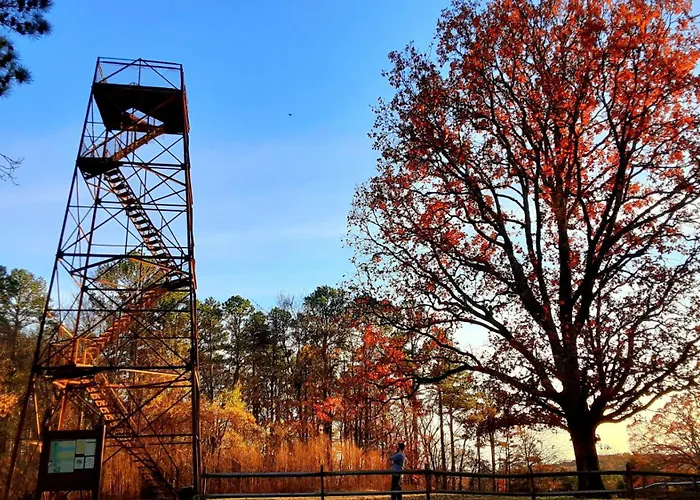 Family-friendly 3br W Bunk & Yard *